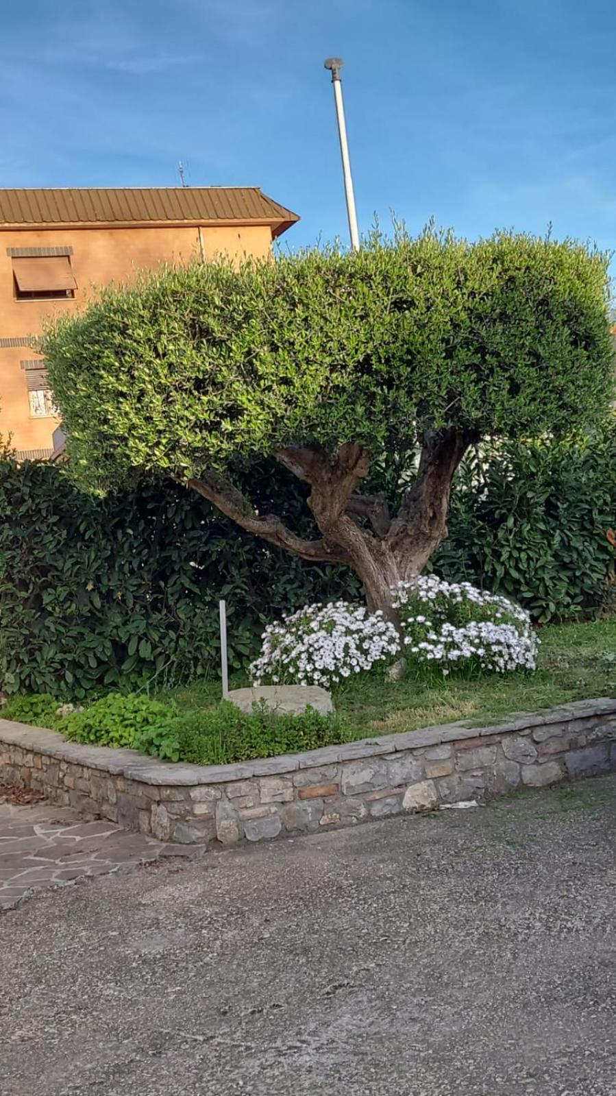 רומא Casetta Delle Fiabe מראה חיצוני תמונה